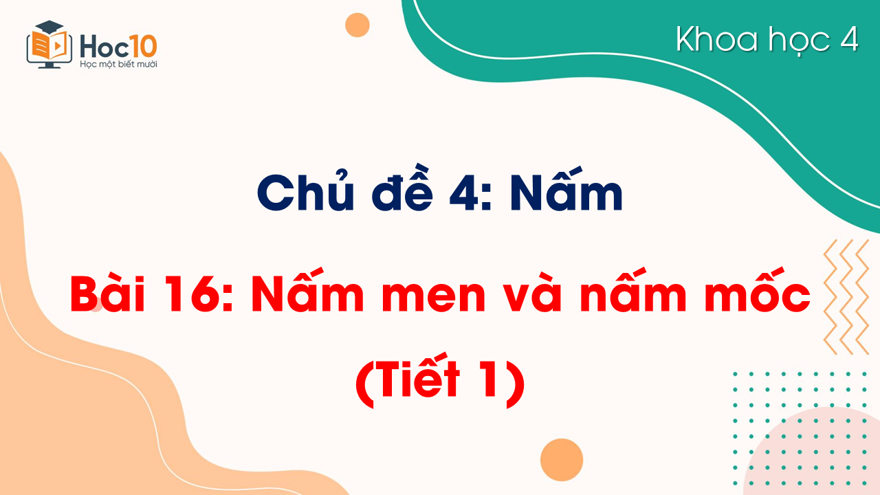 Chủ đề 4 - Bài 16 Nấm men và nấm mốc (Tiết 1)